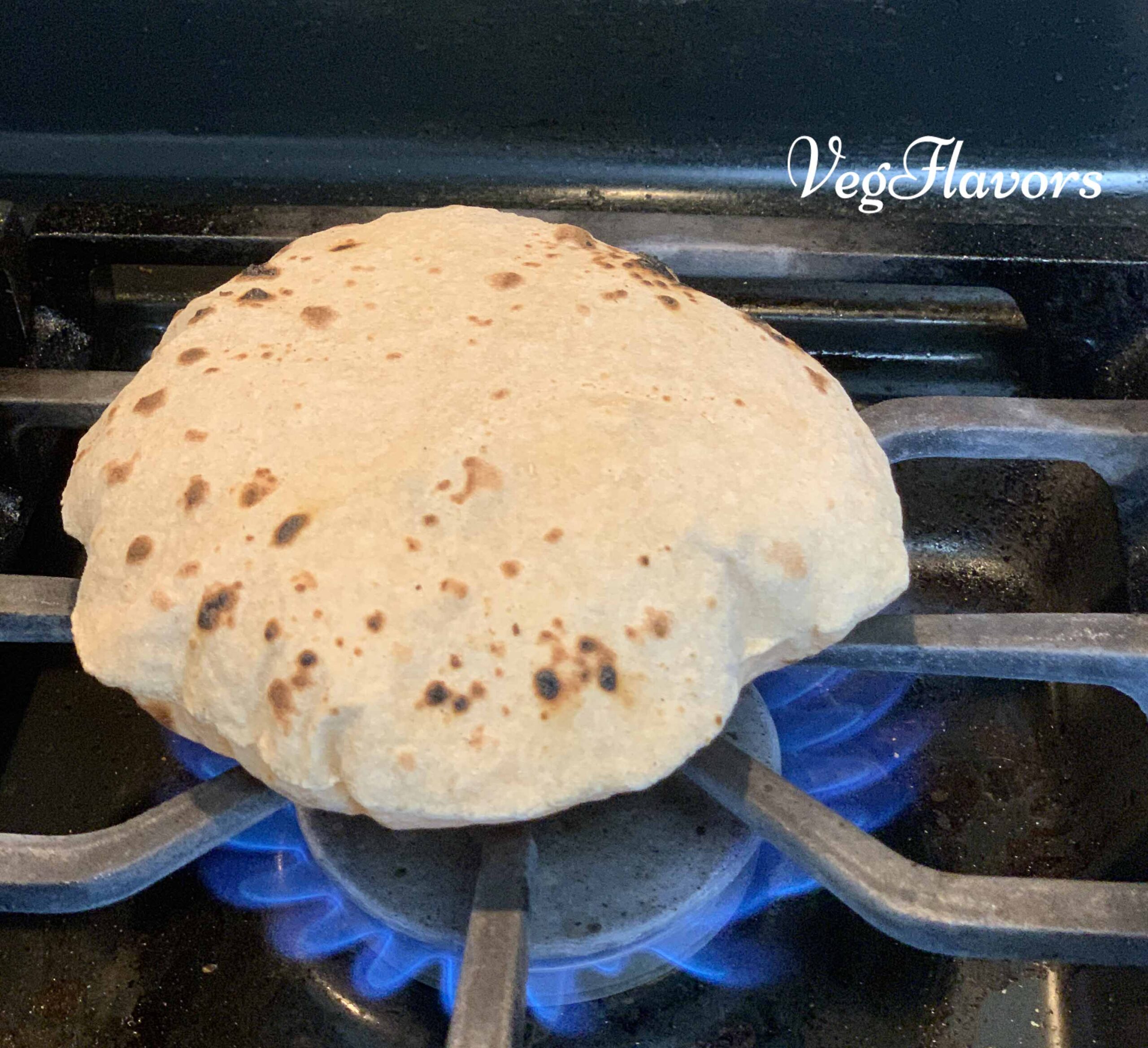 Whole wheat chapatti(roti)