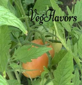 vegflavors- roma tomato